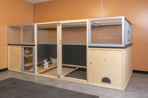 5 Key Considerations For Building Your Own Indoor Rabbit Enclosure